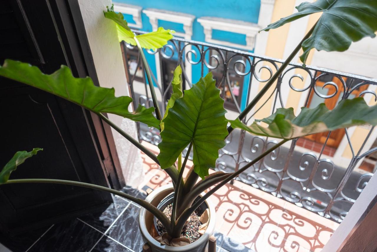 Fortel Hostel San Juan Bagian luar foto